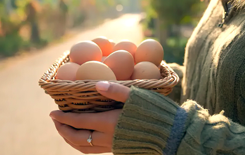 Дієтолог назвав несподівану корисну властивість курячих яєць